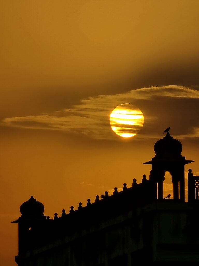 A Sunset and a Soaring Bird